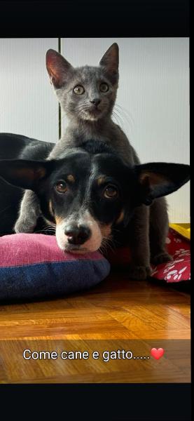 Foto di Lola