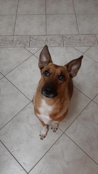 Foto di Luna