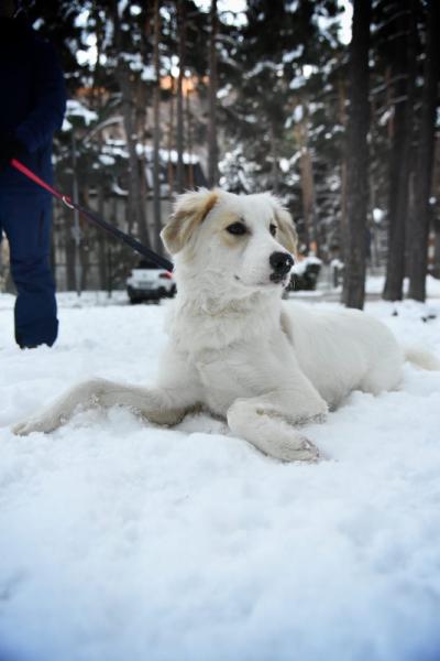 Foto di Nala