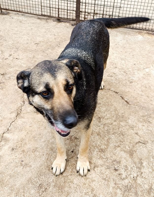 Foto di Lola